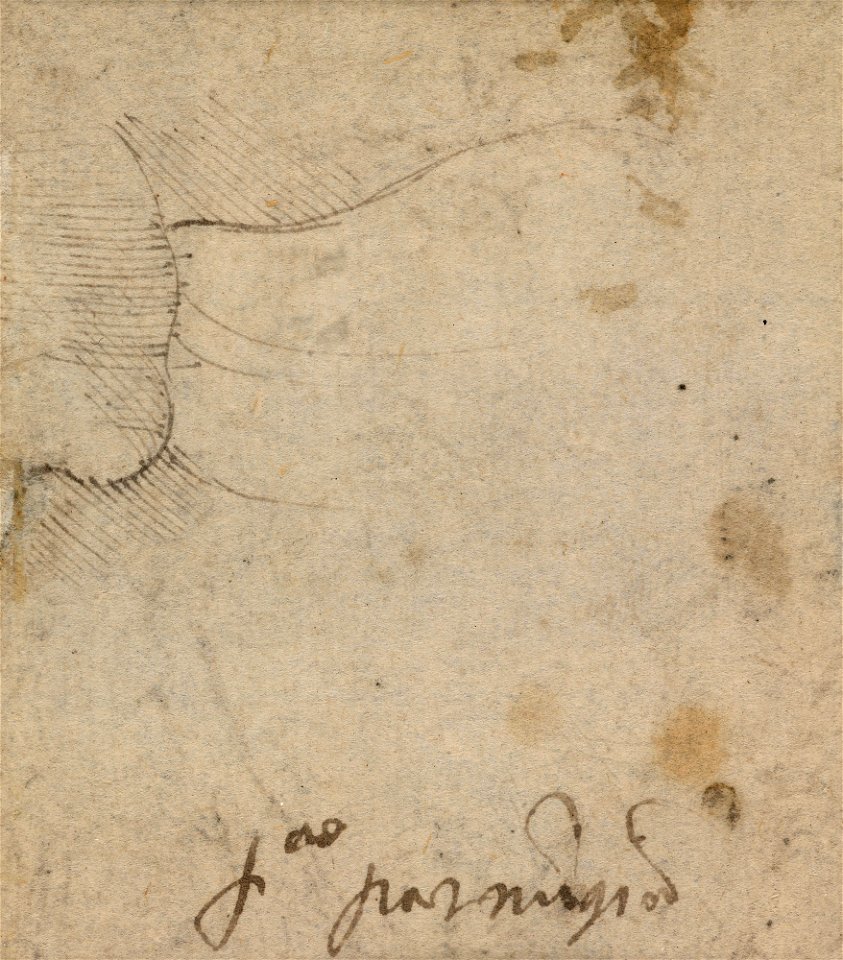 Parmigianino - The Virgin and Child with Saints c.1539, RCIN 990590, v