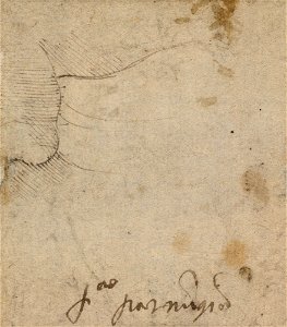 Parmigianino - The Virgin and Child with Saints c.1539, RCIN 990590, v
