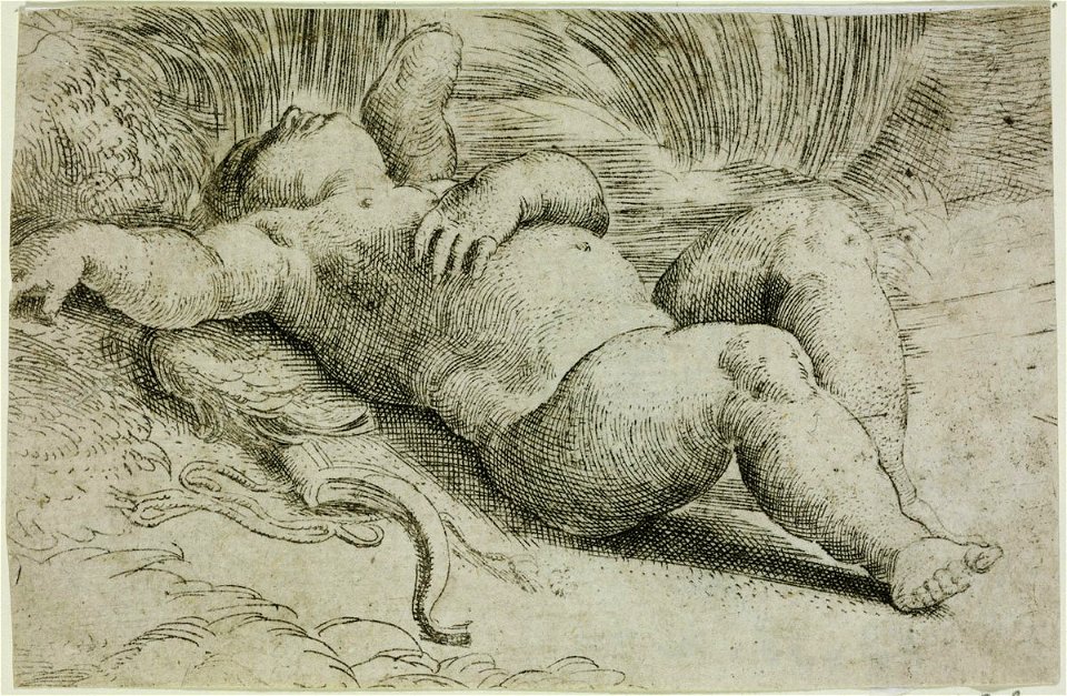 Parmigianino - Sleeping Cupid, 6291