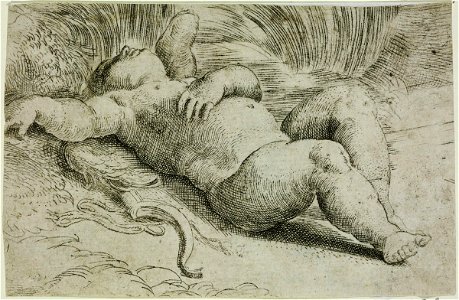 Parmigianino - Sleeping Cupid, 6291. Free illustration for personal and commercial use.