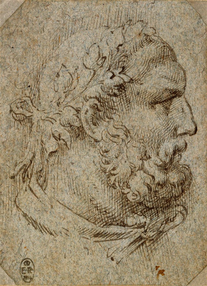 Parmigianino - The head of Hercules c.1530, RCIN 990579