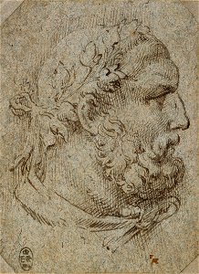 Parmigianino - The head of Hercules c.1530, RCIN 990579