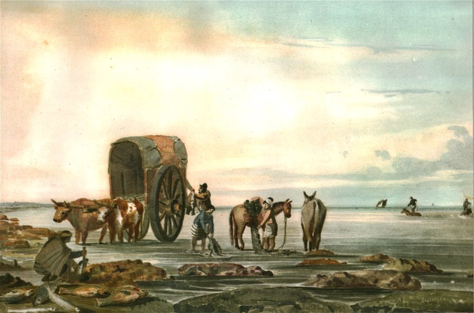 Paseadores en el Río de la Plata, según Vidal