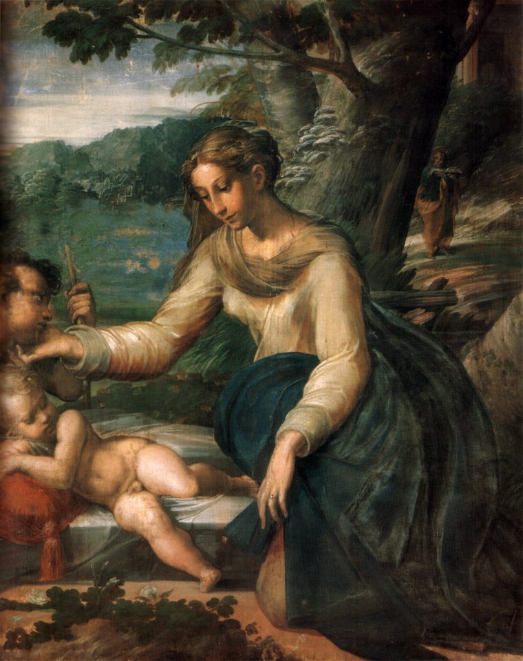 Parmigianino, sacra famiglia con san giovannino