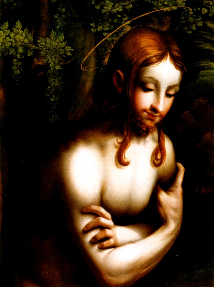 Parmigianino, battesimo di cristo 2