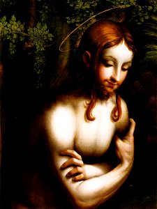 Parmigianino, battesimo di cristo 2