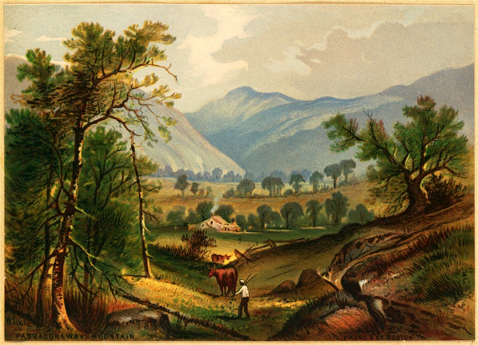 Passaconaway Mountain 2 (Boston Public Library)