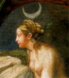 Parmigianino, affreschi di fontanellato 07 diana