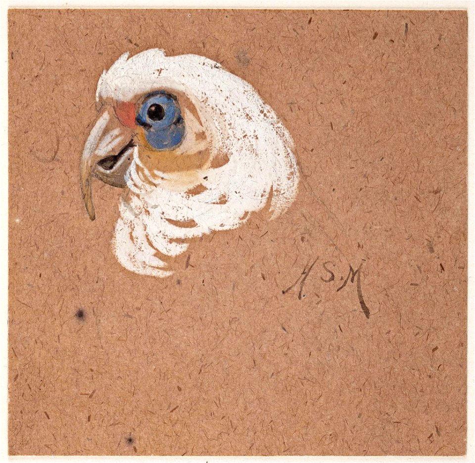 Parrot - Henry Stacy Marks - 9078-2048x1994