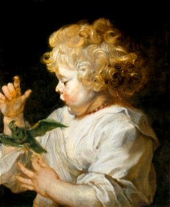 Peter Paul Rubens - Boy with Bird - WGA20360