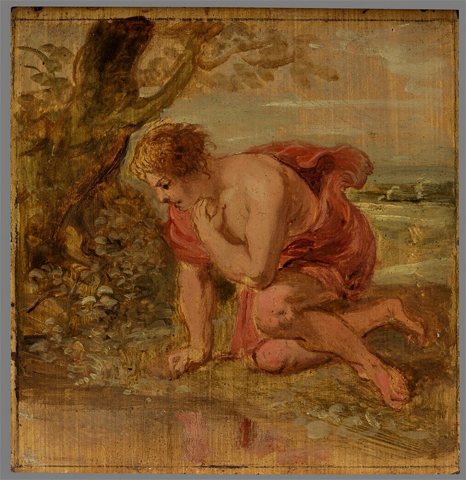 Peter Paul Rubens - Narcissus wordt op zijn eigen spiegelbeeld verliefd - 2518 (OK) - Museum Boijmans Van Beuningen