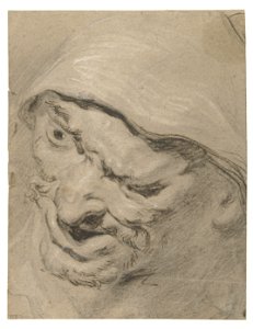 Peter Paul Rubens - Head of a man. Free illustration for personal and commercial use.