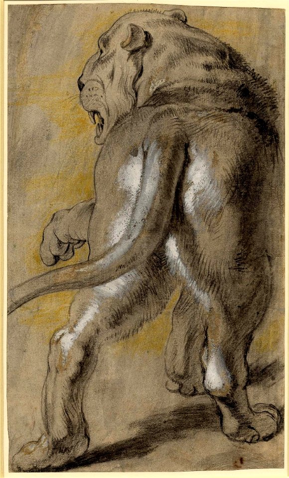 Peter Paul Rubens 077