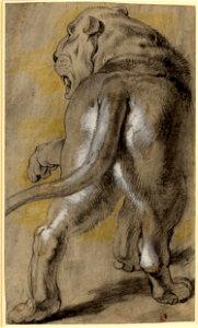 Peter Paul Rubens 077