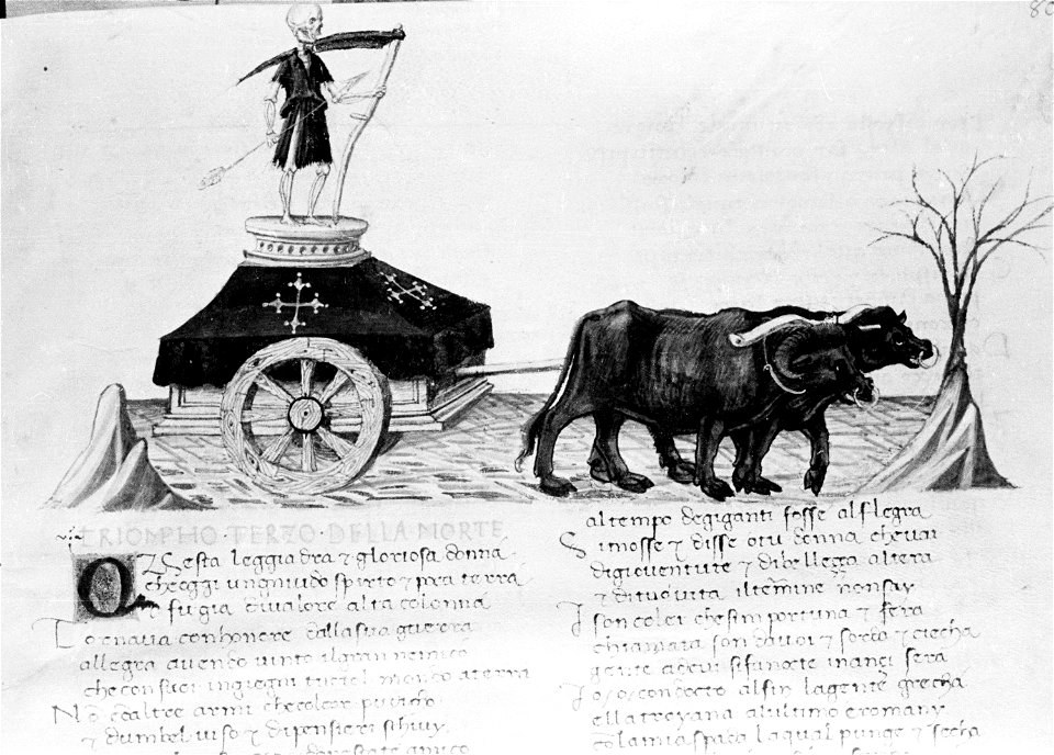 Petrarch-triumph-death-apollonio-1442