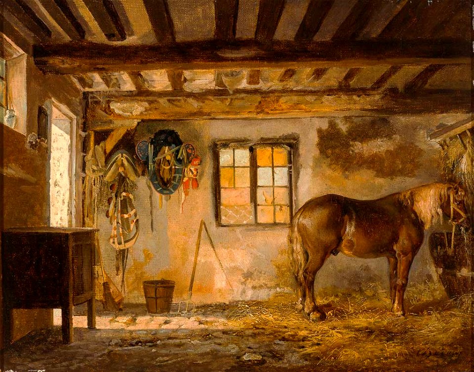 Pferd in einem Stall mit Zaumzeug an der Wand