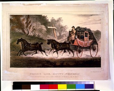 Phoenix Line, safety coaches - M. Swett, invt. et del. ; lith. of Endicott & Swett, N.Y. LCCN95504531