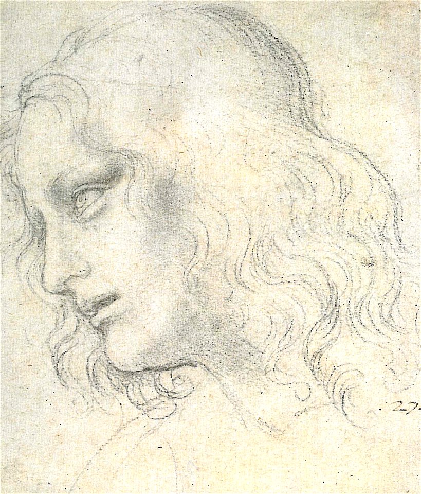 Philippuskopf (da Vinci)