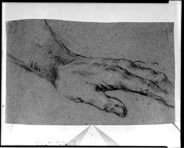 Piazzetta - Study of a Hand, 1949.71