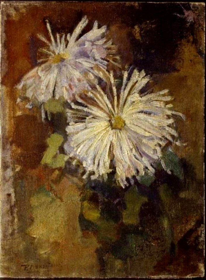 Piet Mondriaan - Two chrysanthemum blossoms - 0334265 - Kunstmuseum Den Haag