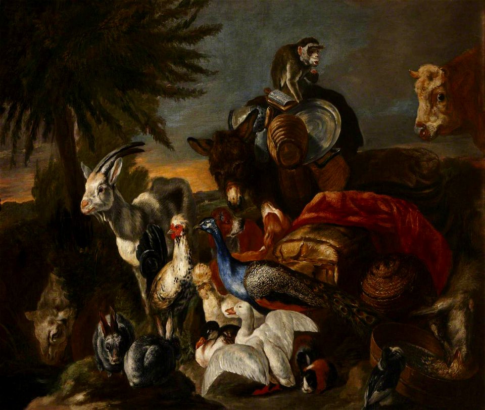 Pieter Boel (1622-1674) (attributed to) - An Animal Scene - 247859 - National Trust