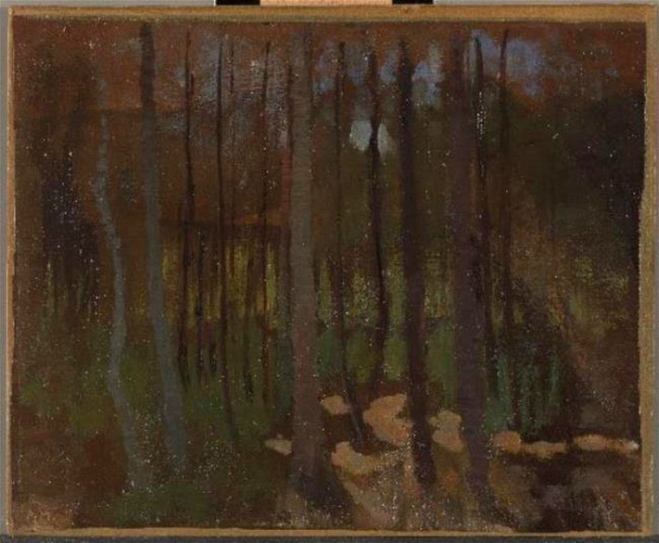 Piet Mondriaan - Woods - 0334223 - Kunstmuseum Den Haag