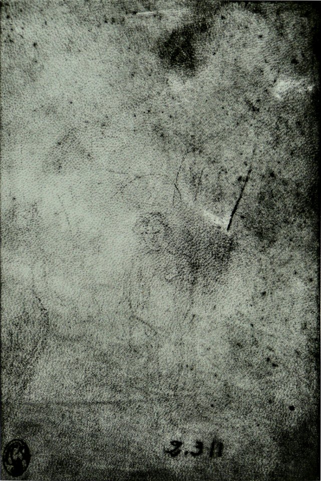 Pisanello - Codex Vallardi 2311 v