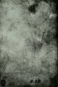 Pisanello - Codex Vallardi 2311 v