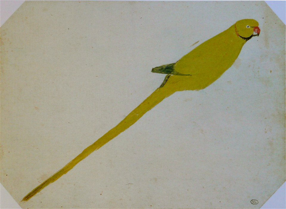 Pisanello - Codex Vallardi 2456