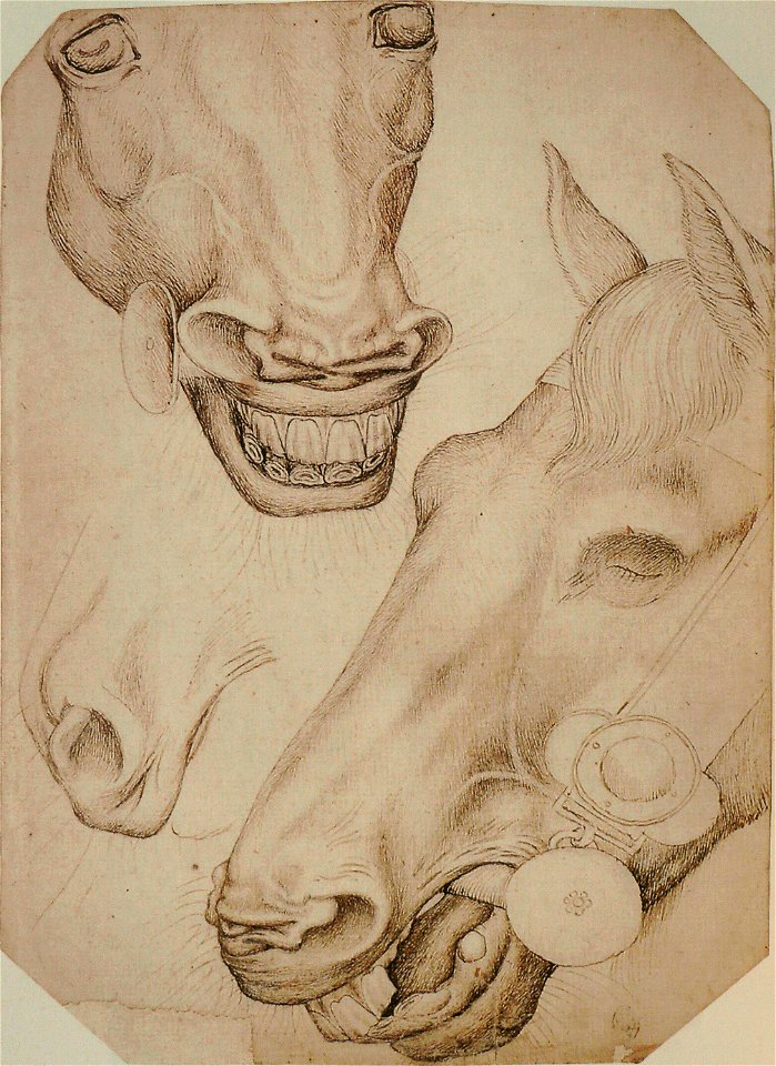 Pisanello - Codex Vallardi 2354