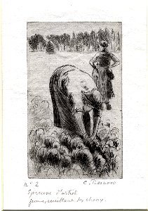 Pissarro - Femme cueillant des choux, WA1952.6.588