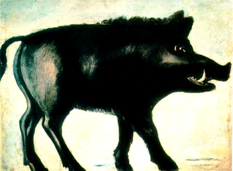Pirosmani. Boar