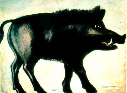Pirosmani. Boar