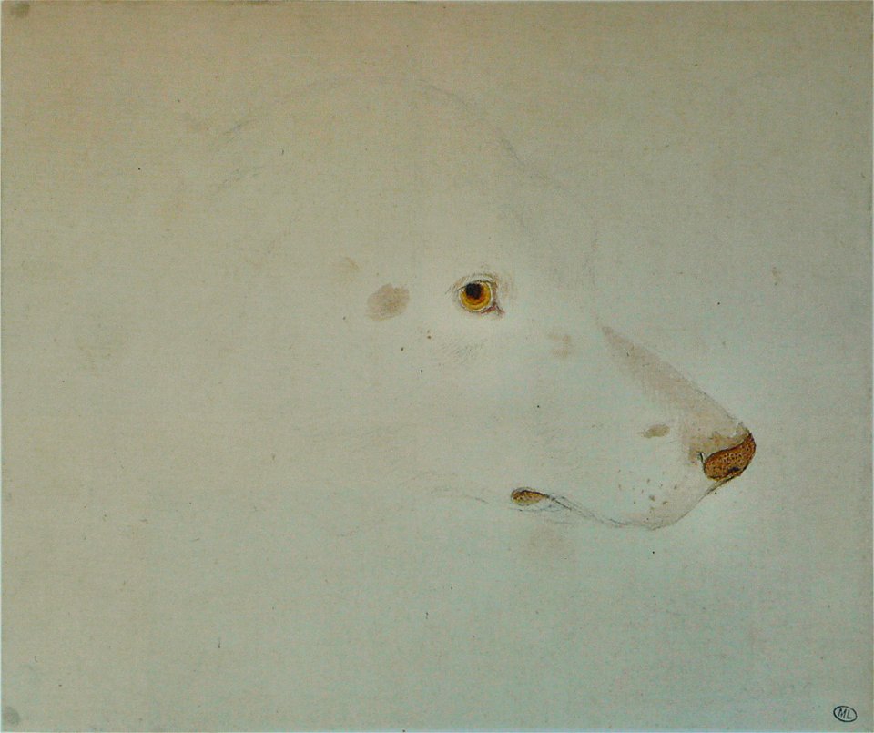 Pisanello - Codex Vallardi 2429 r