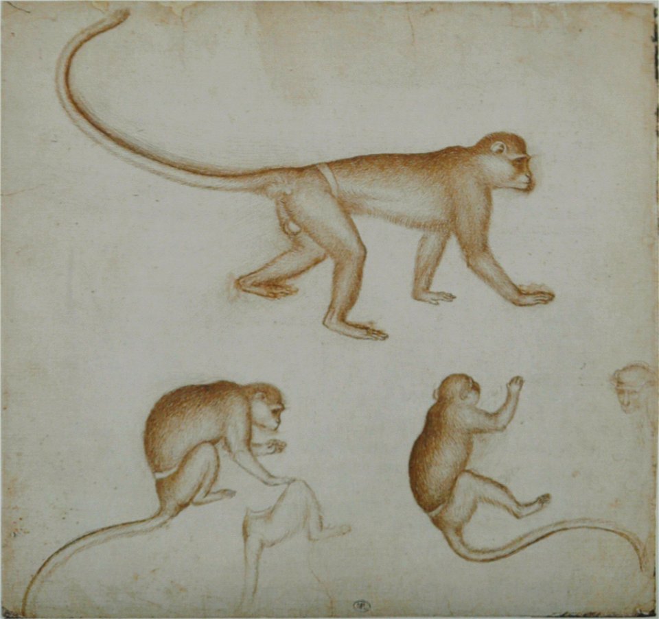 Pisanello - Codex Vallardi 2394 r