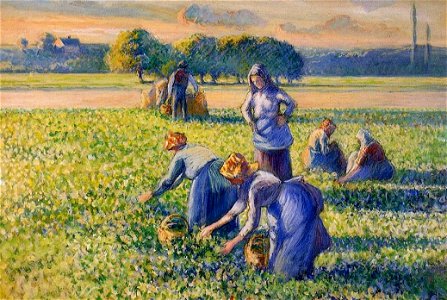 Pissarro - La cueillette des pois