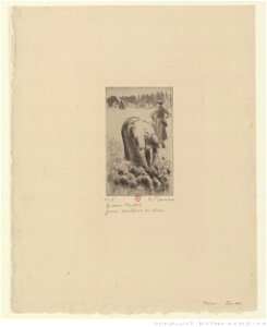 Pissarro - Femme cueillant des choux, 3e état, btv1b6955201w