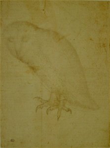 Pisanello - Codex Vallardi 2506