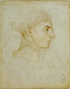 Pisanello - Codex Vallardi 2321