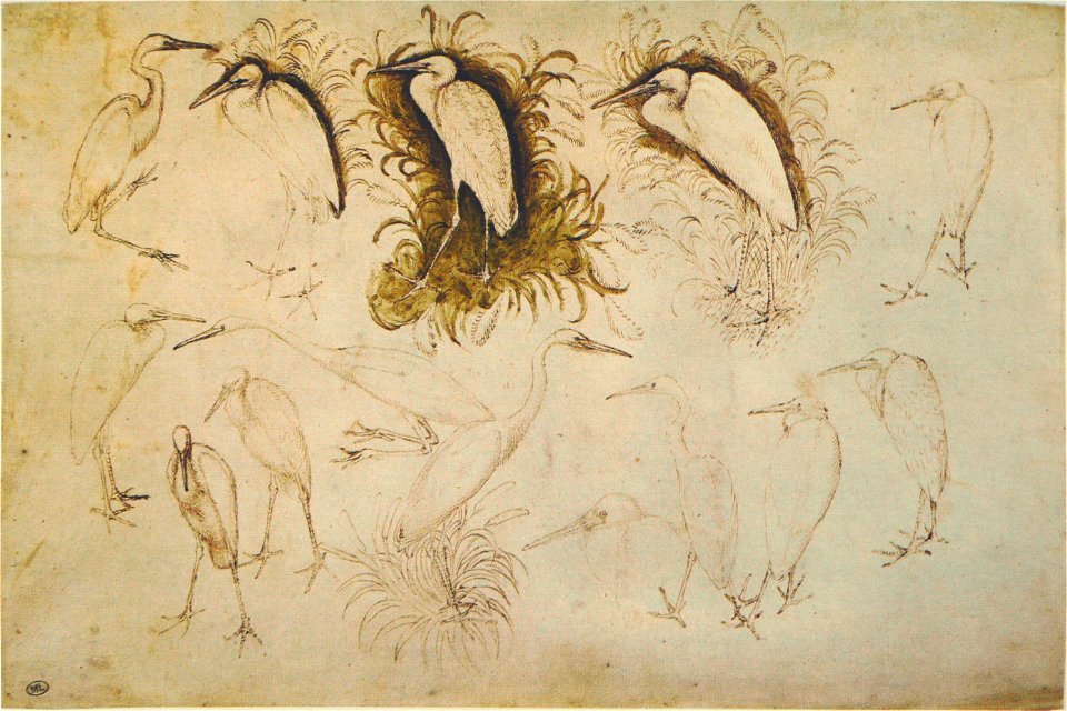Pisanello - Codex Vallardi 2472