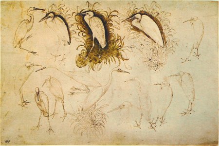 Pisanello - Codex Vallardi 2472