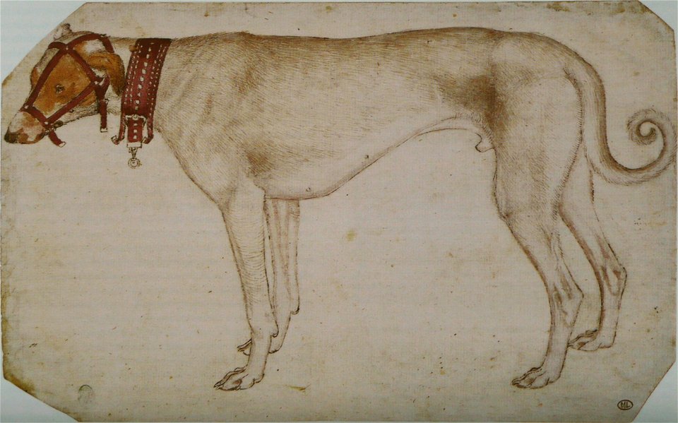 Pisanello - Codex Vallardi 2435