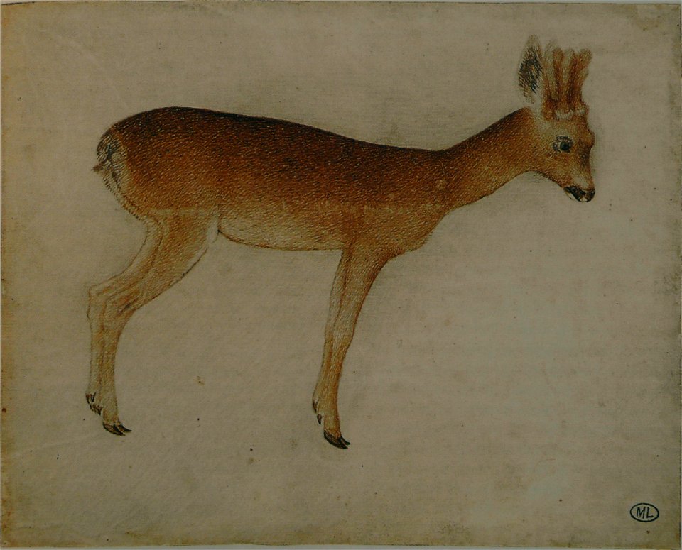 Pisanello - Codex Vallardi 2497