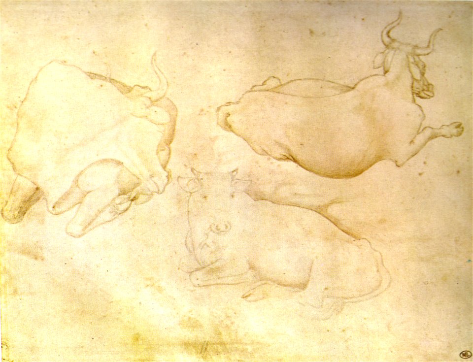 Pisanello, disegni, louvre 2411