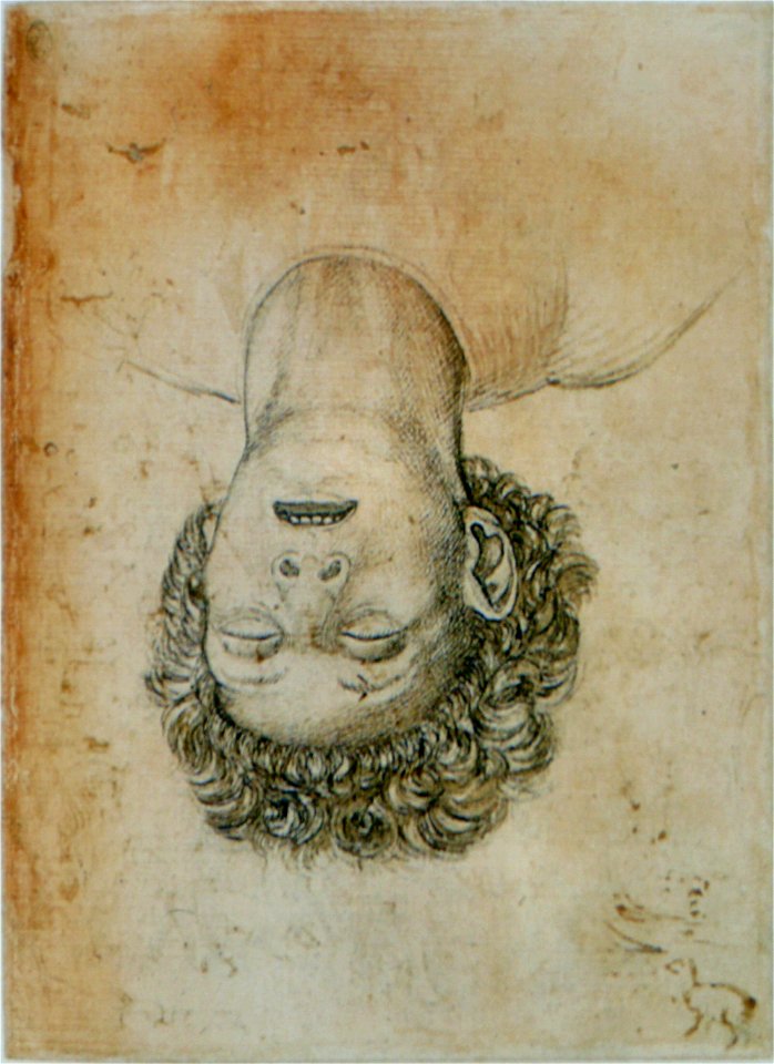 Pisanello - Codex Vallardi 2595 r
