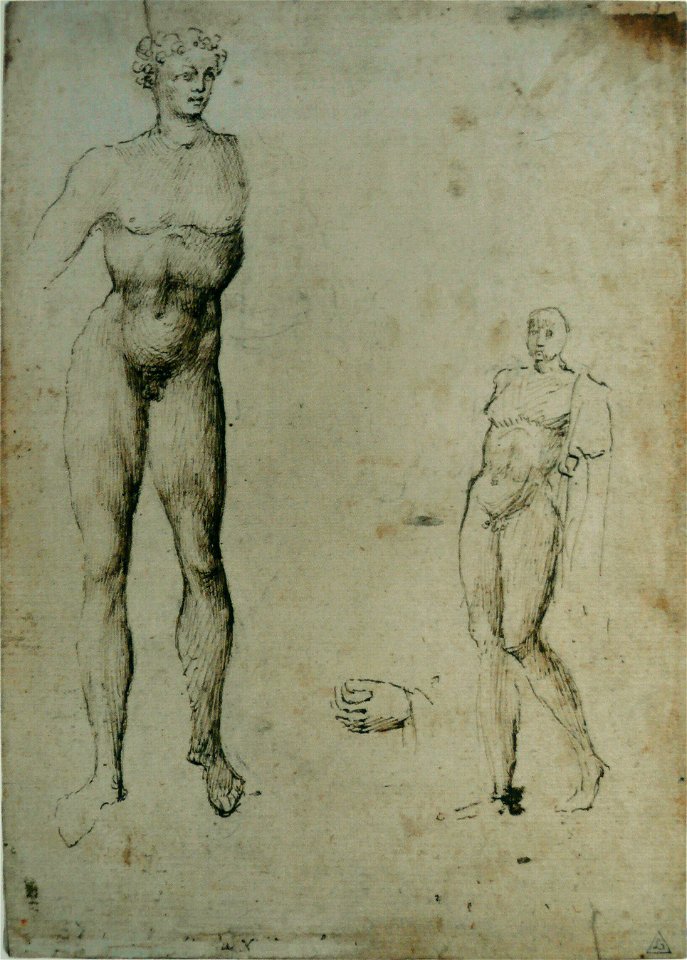 Pisanello - Deux études d'hommes nus