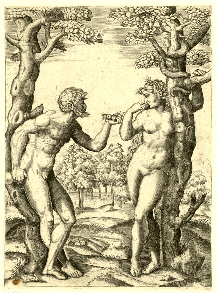 Raimondi - Adam und Eva, DG201736880