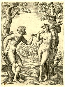 Raimondi - Adam und Eva, DG201736880