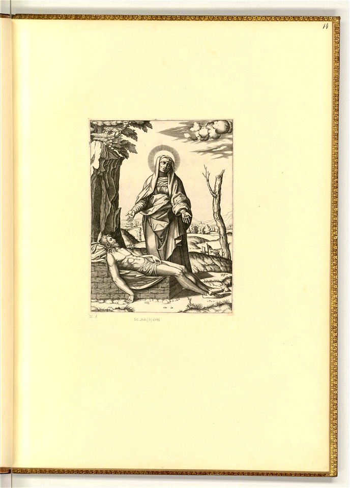 Raimondi - Pieta, ItI2014