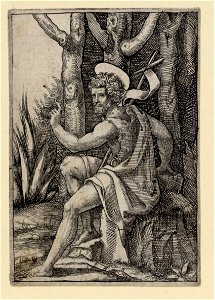 Raimondi - Johannes der Täufer, DG1970371